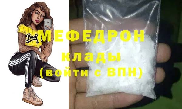 СК Ельня