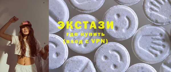 СК Ельня