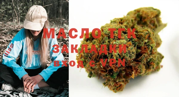 СК Ельня
