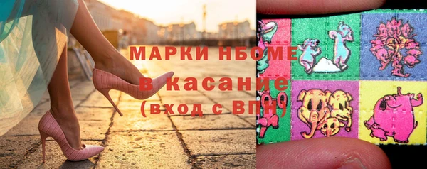 СК Ельня