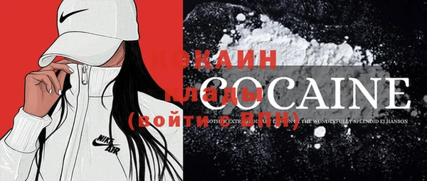 СК Ельня
