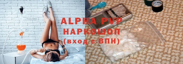 СК Ельня