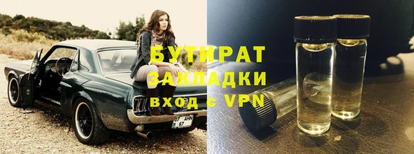 СК Ельня