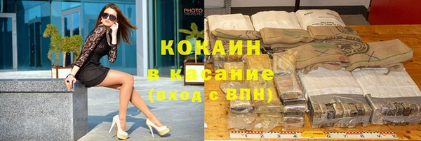 СК Ельня