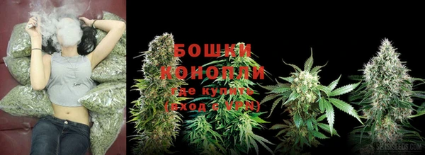 эйфоретик Елизово