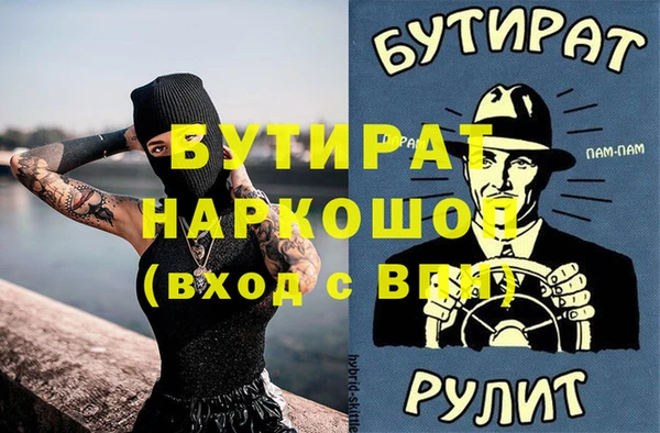 СК Ельня