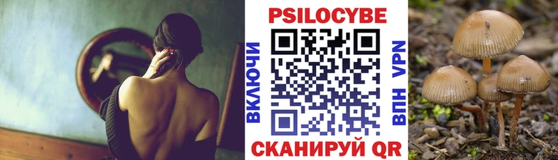 Псилоцибиновые грибы прущие грибы  Купить где  Камбарка 